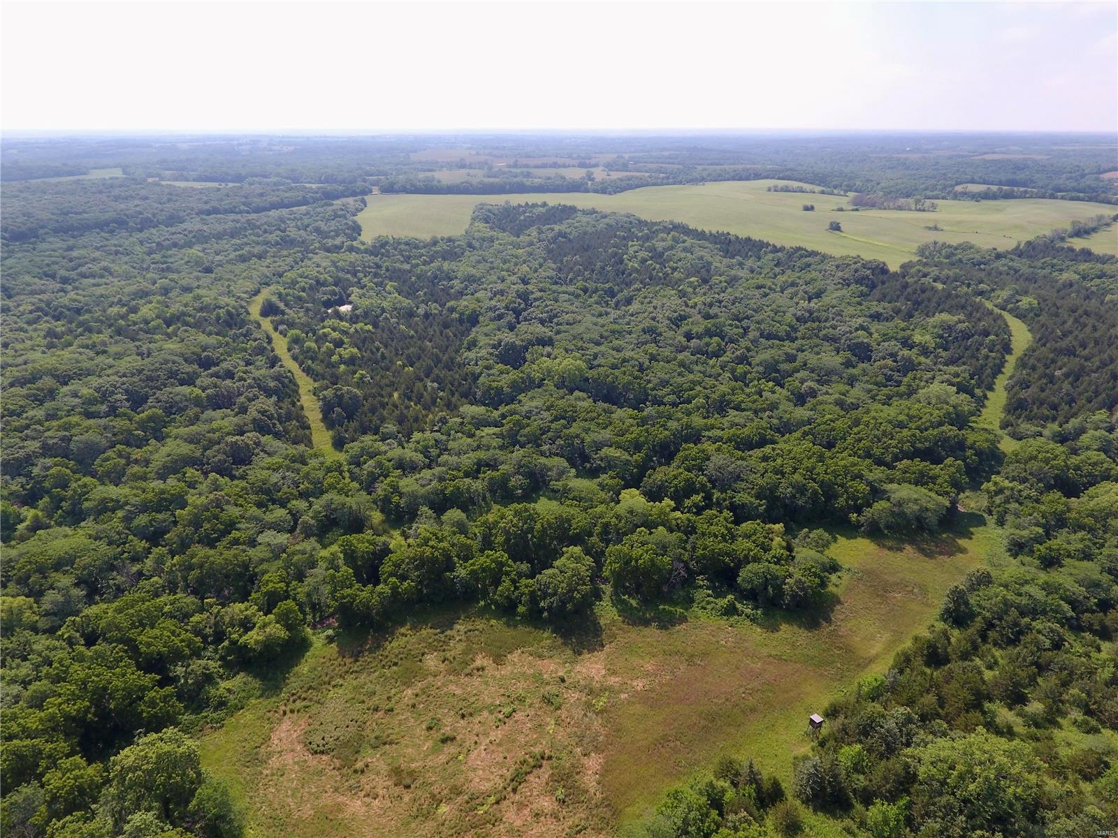 Cainsville - Farm