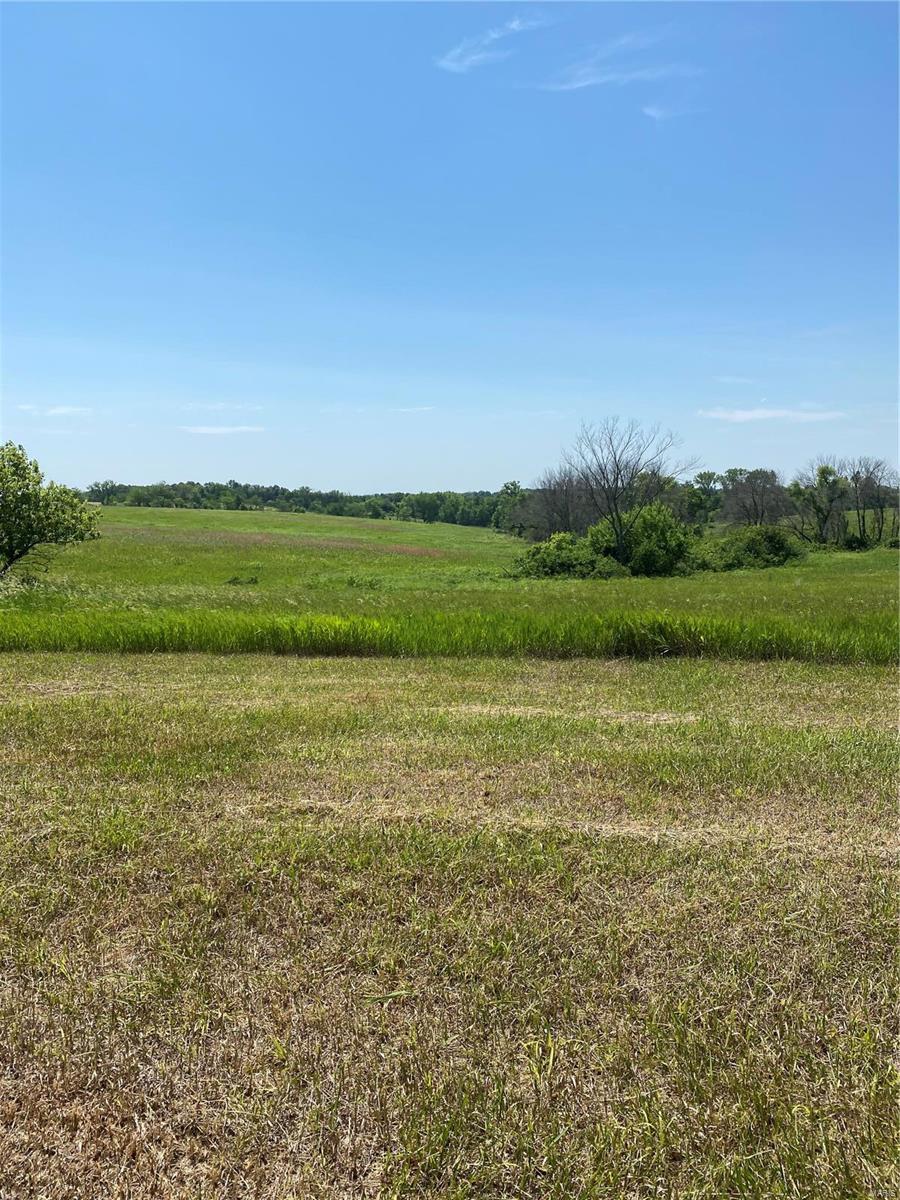 Cainsville - Farm