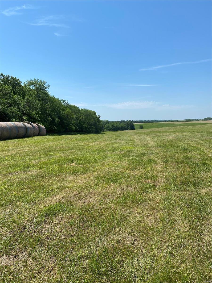 Cainsville - Farm