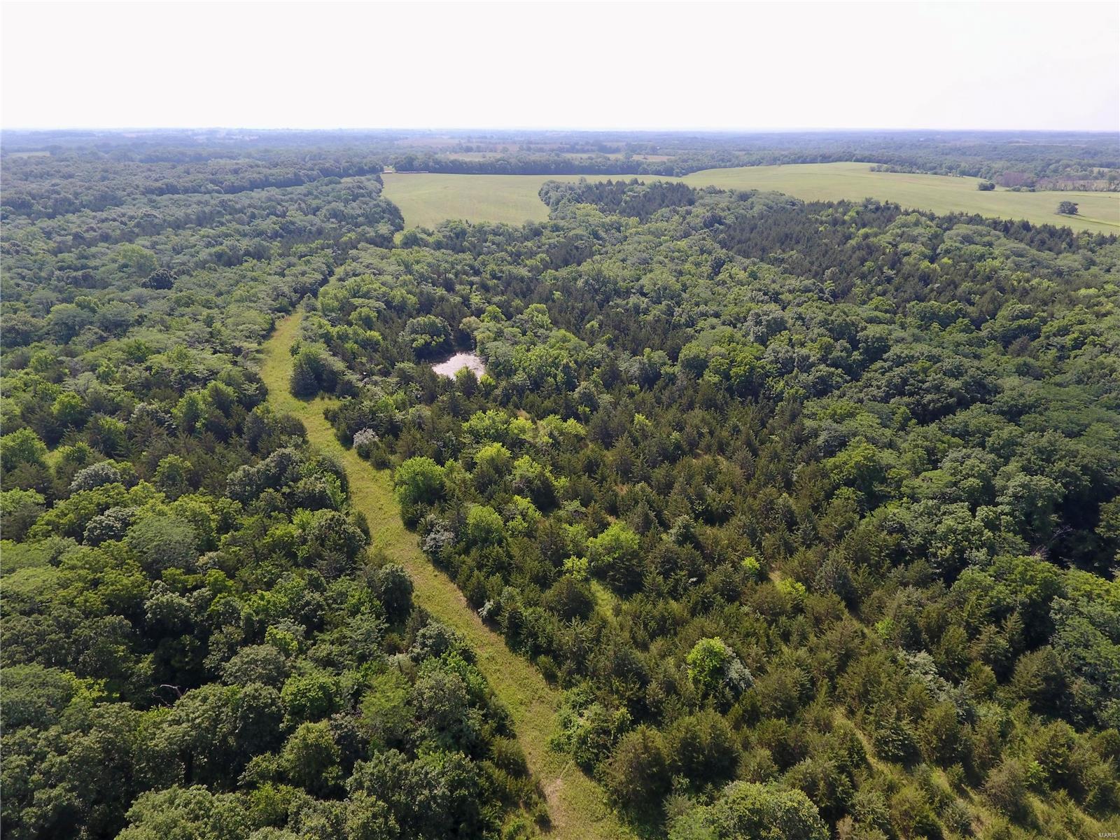 Cainsville - Farm