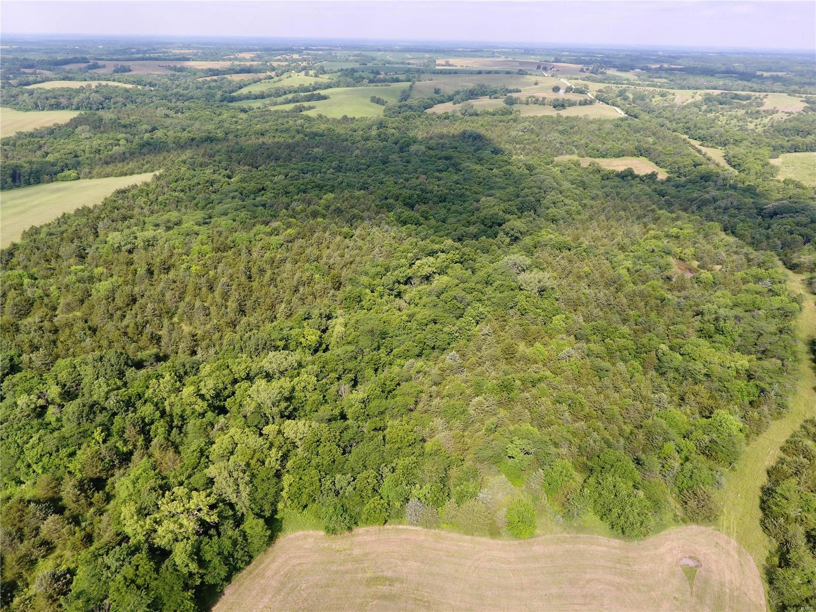 Cainsville - Farm
