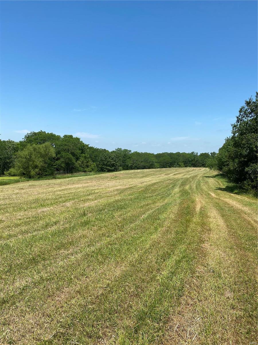 Cainsville - Farm