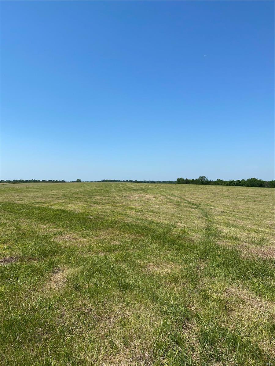 Cainsville - Farm