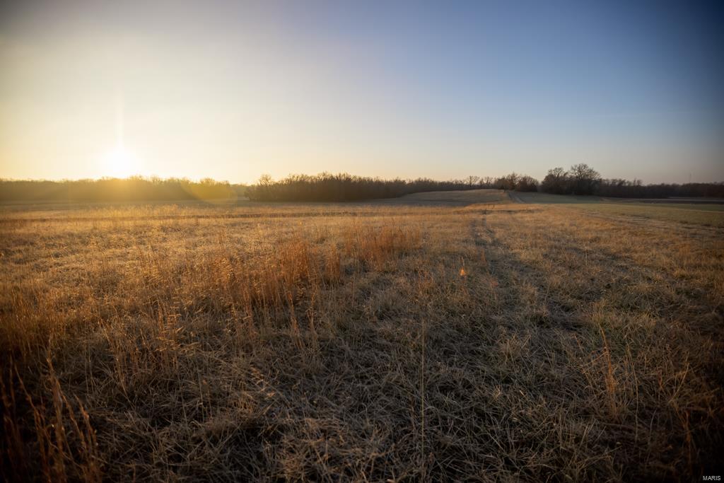 no - Farm