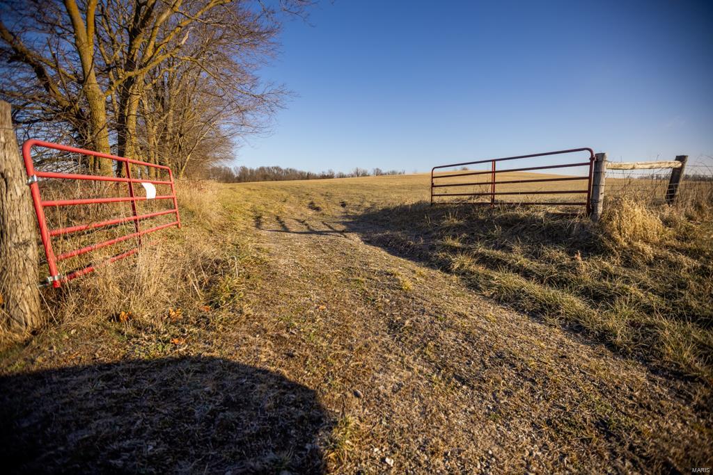 no - Farm