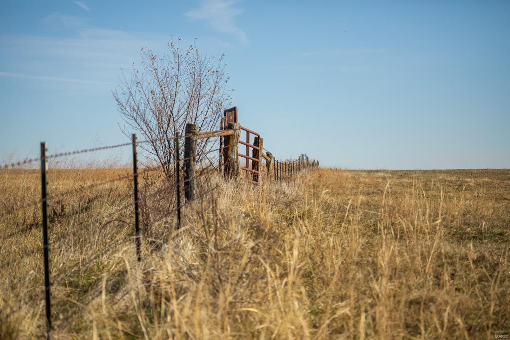 no - Farm