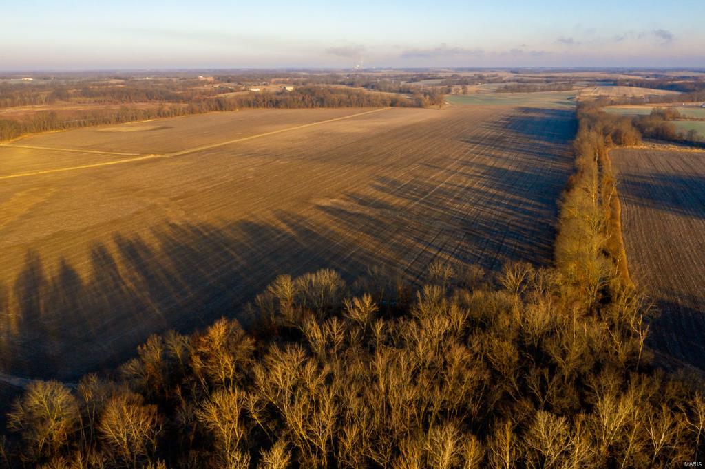 no - Farm