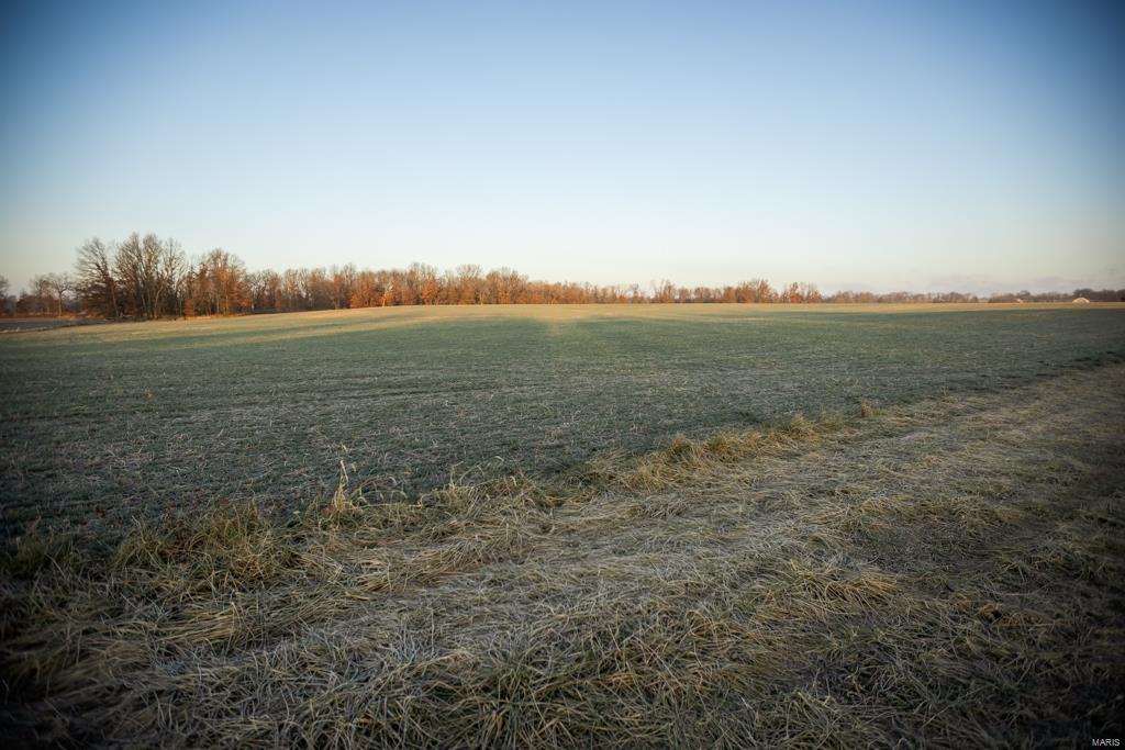 no - Farm