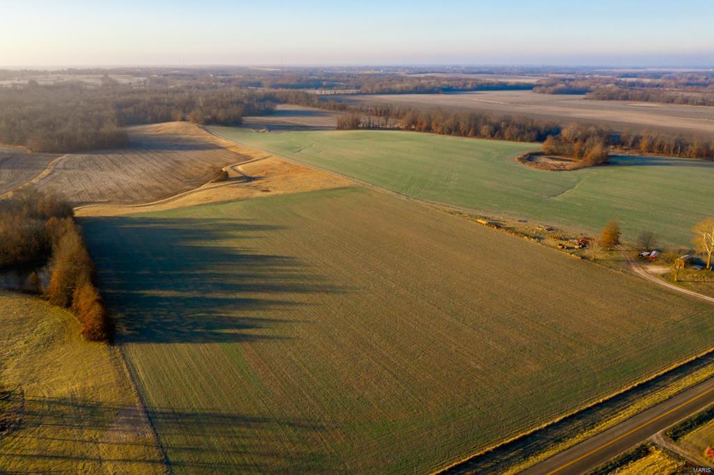 no - Farm