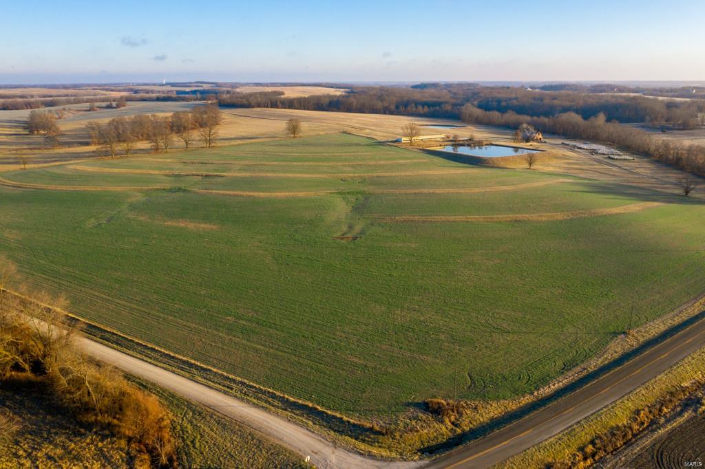 no - Farm