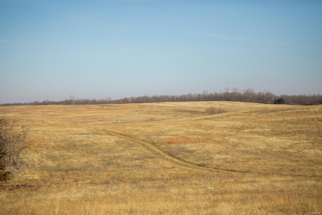 no - Farm
