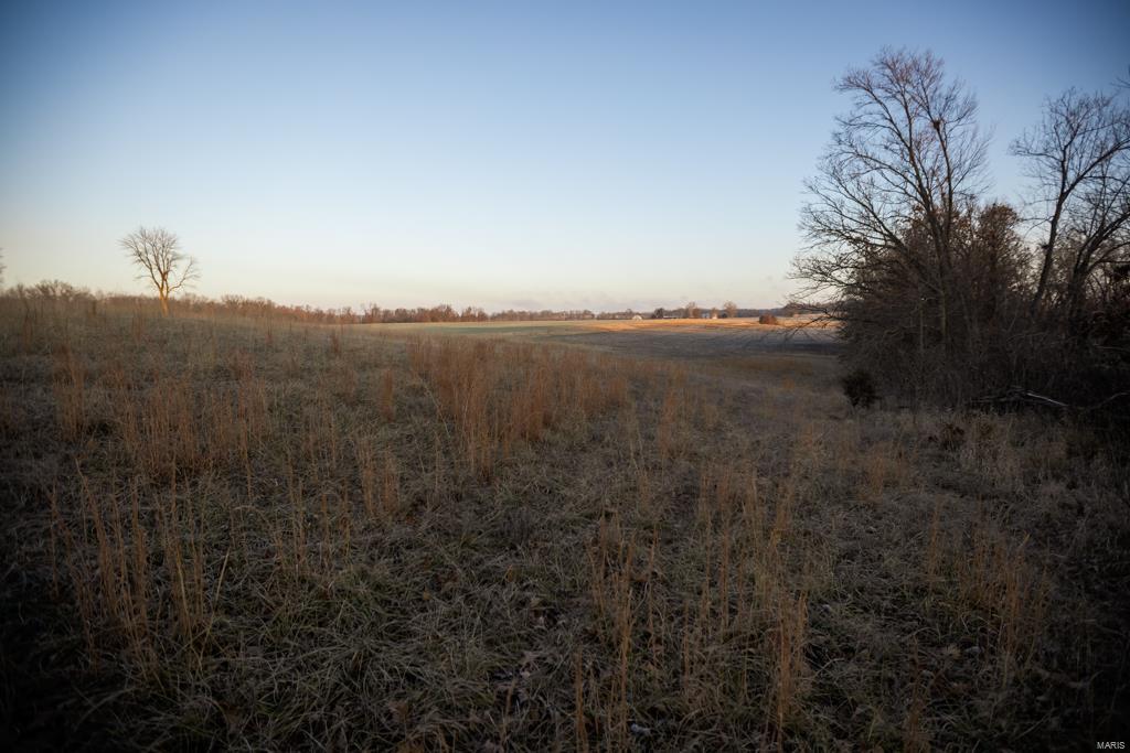 no - Farm