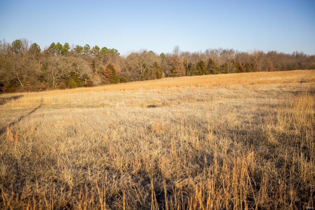 no - Farm