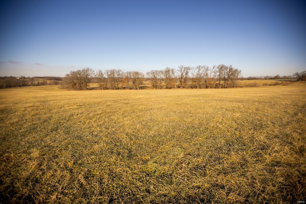 no - Farm