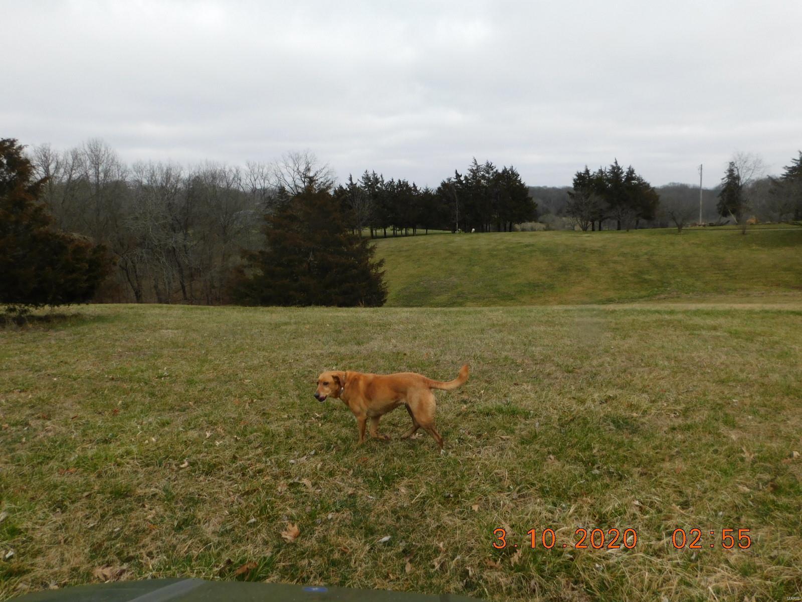Boone County - Farm