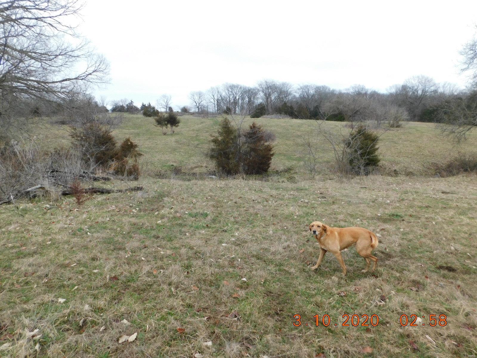 Boone County - Farm