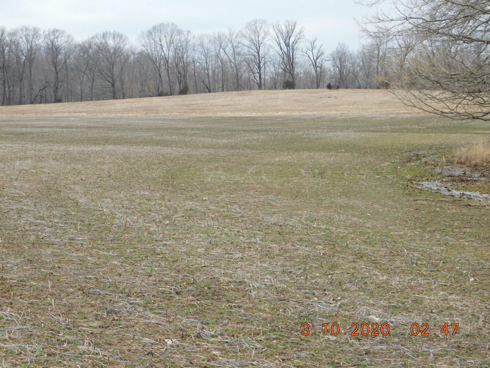 Boone County - Farm