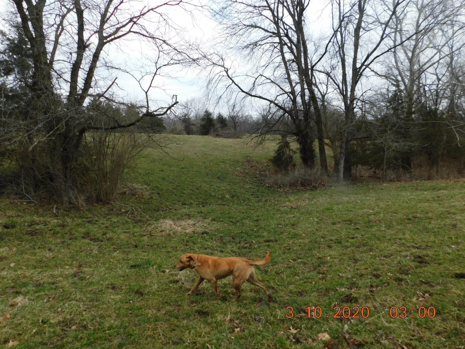 Boone County - Farm