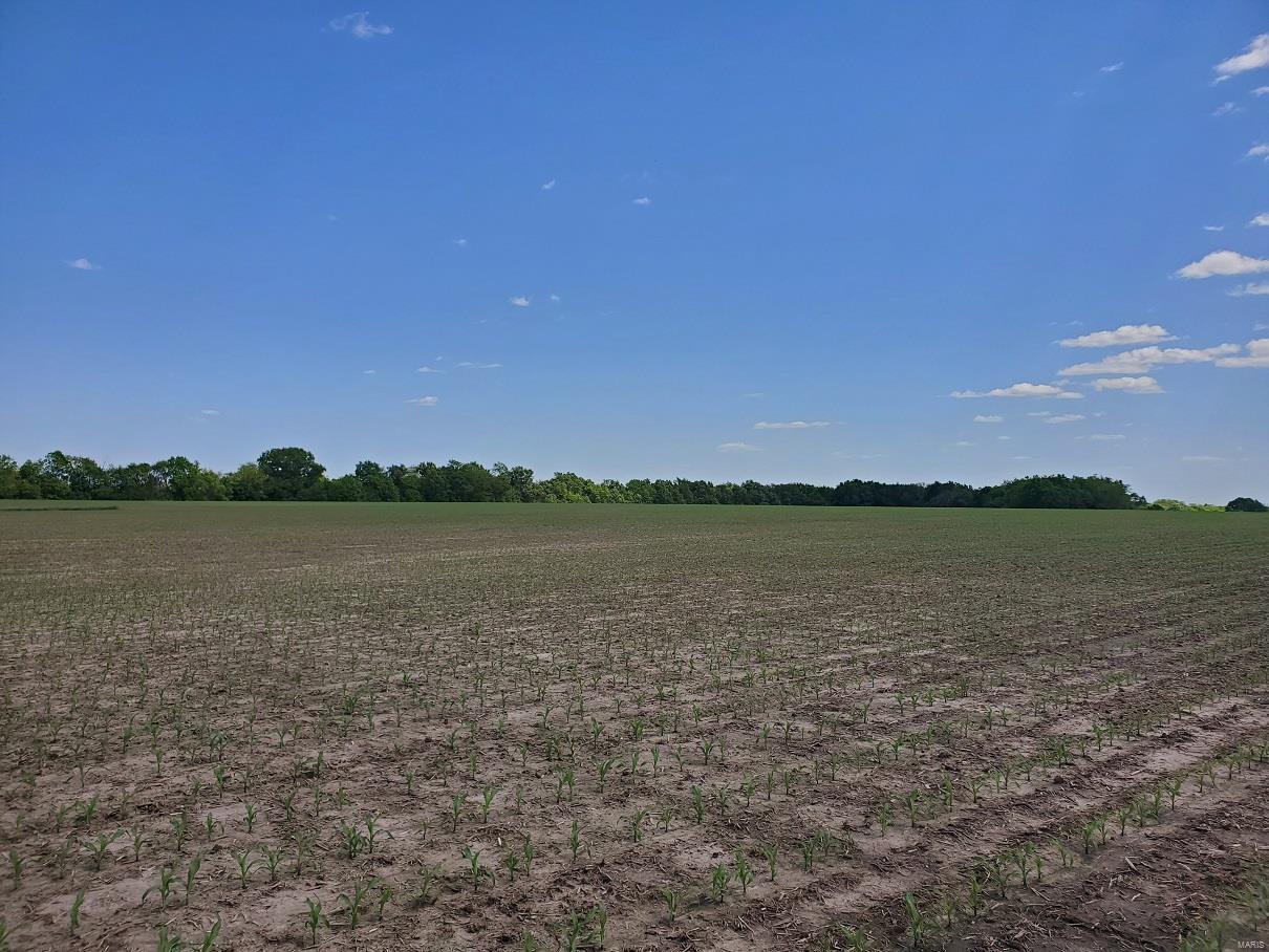 None - Farm