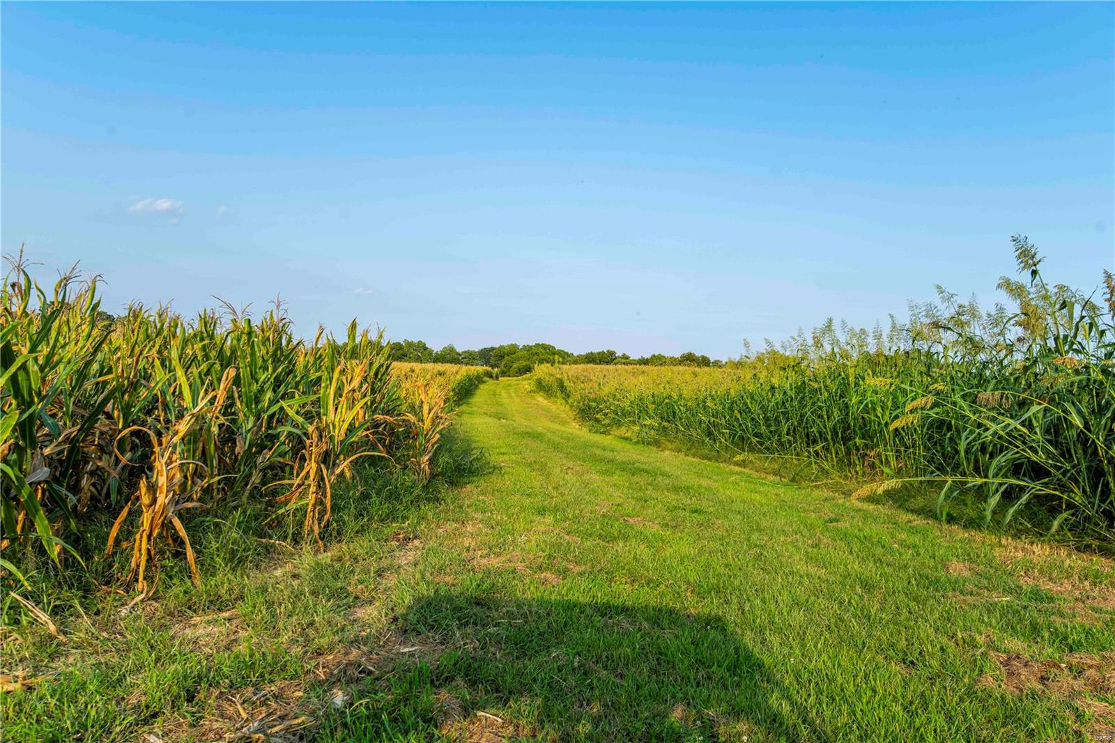 N/A - Farm