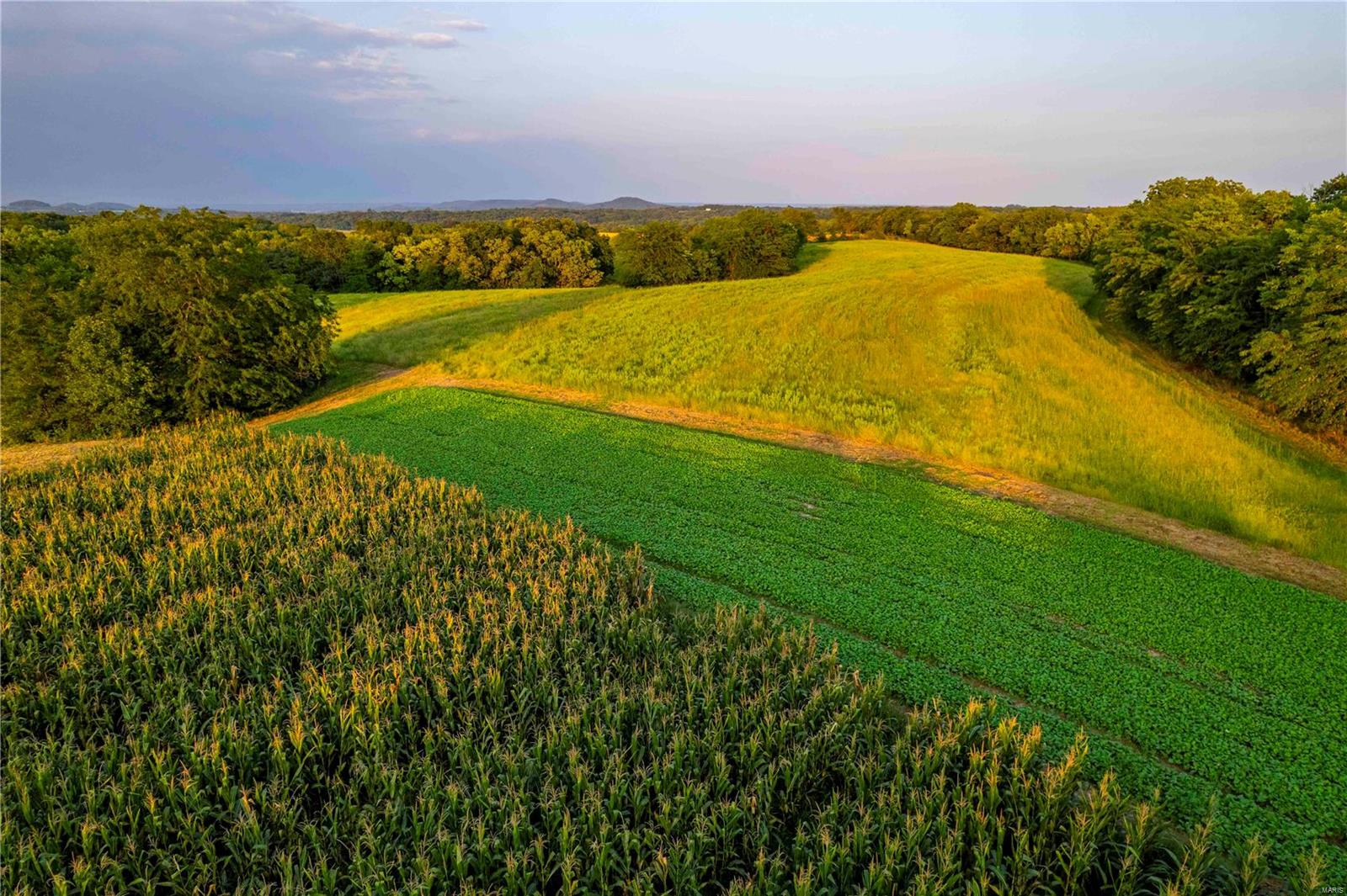 N/A - Farm