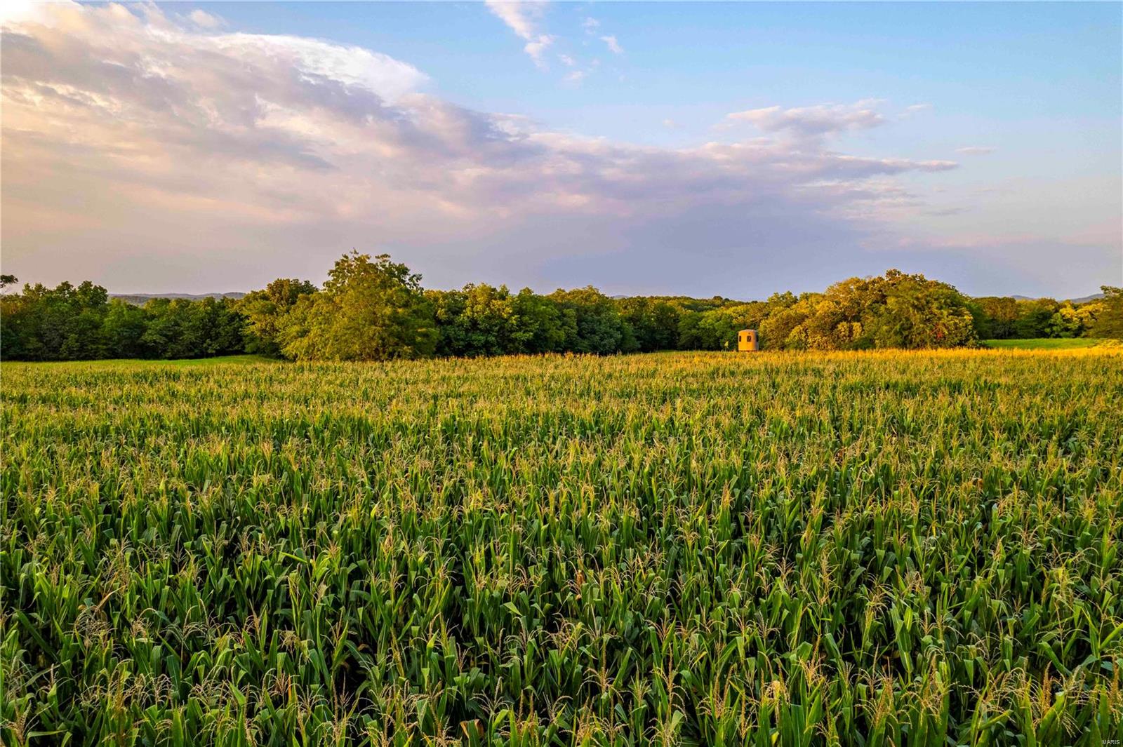 N/A - Farm