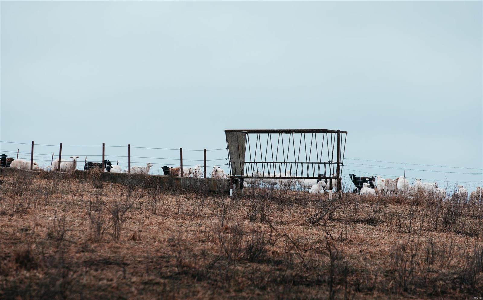 N/A - Farm
