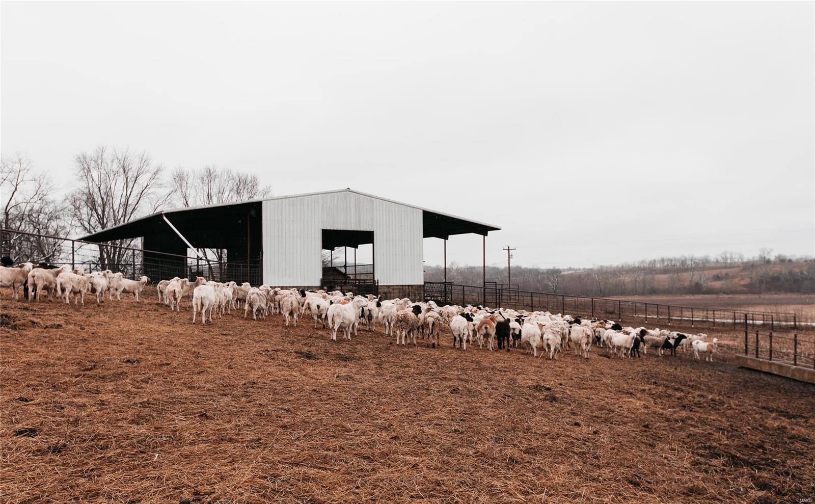 N/A - Farm
