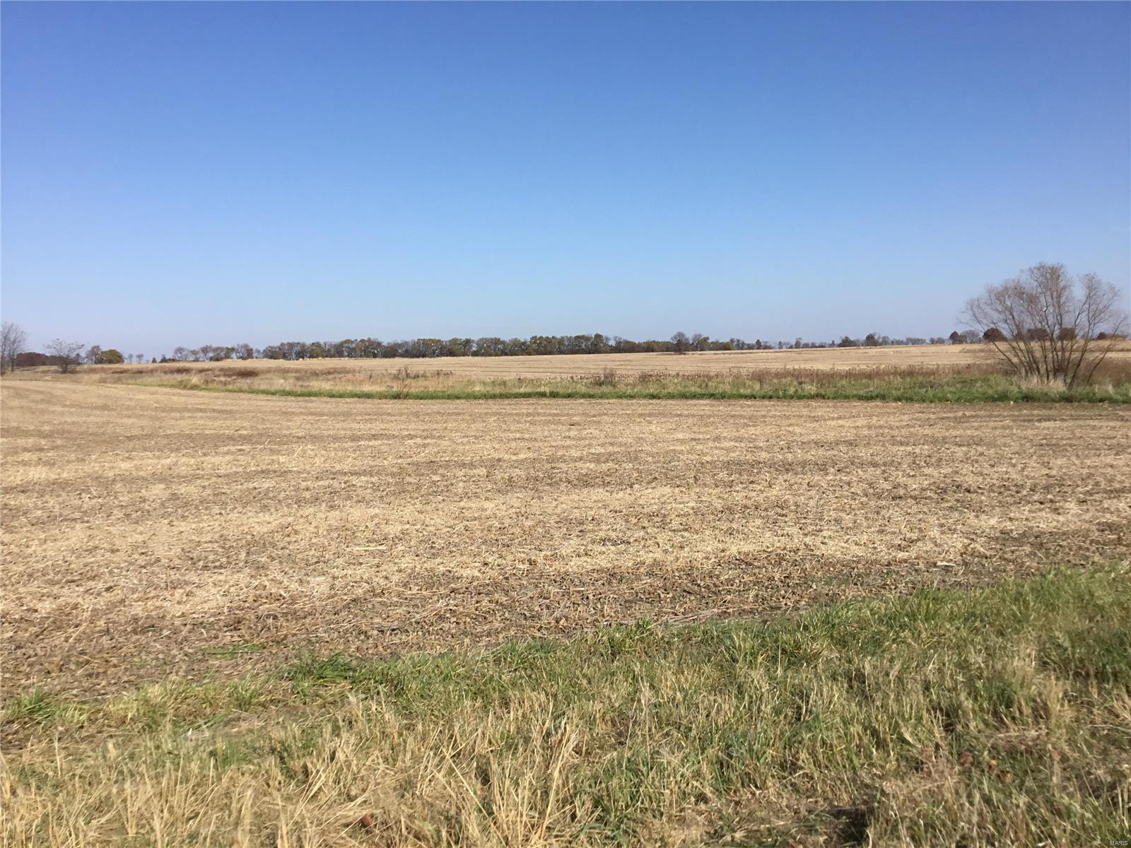 Rural - Farm