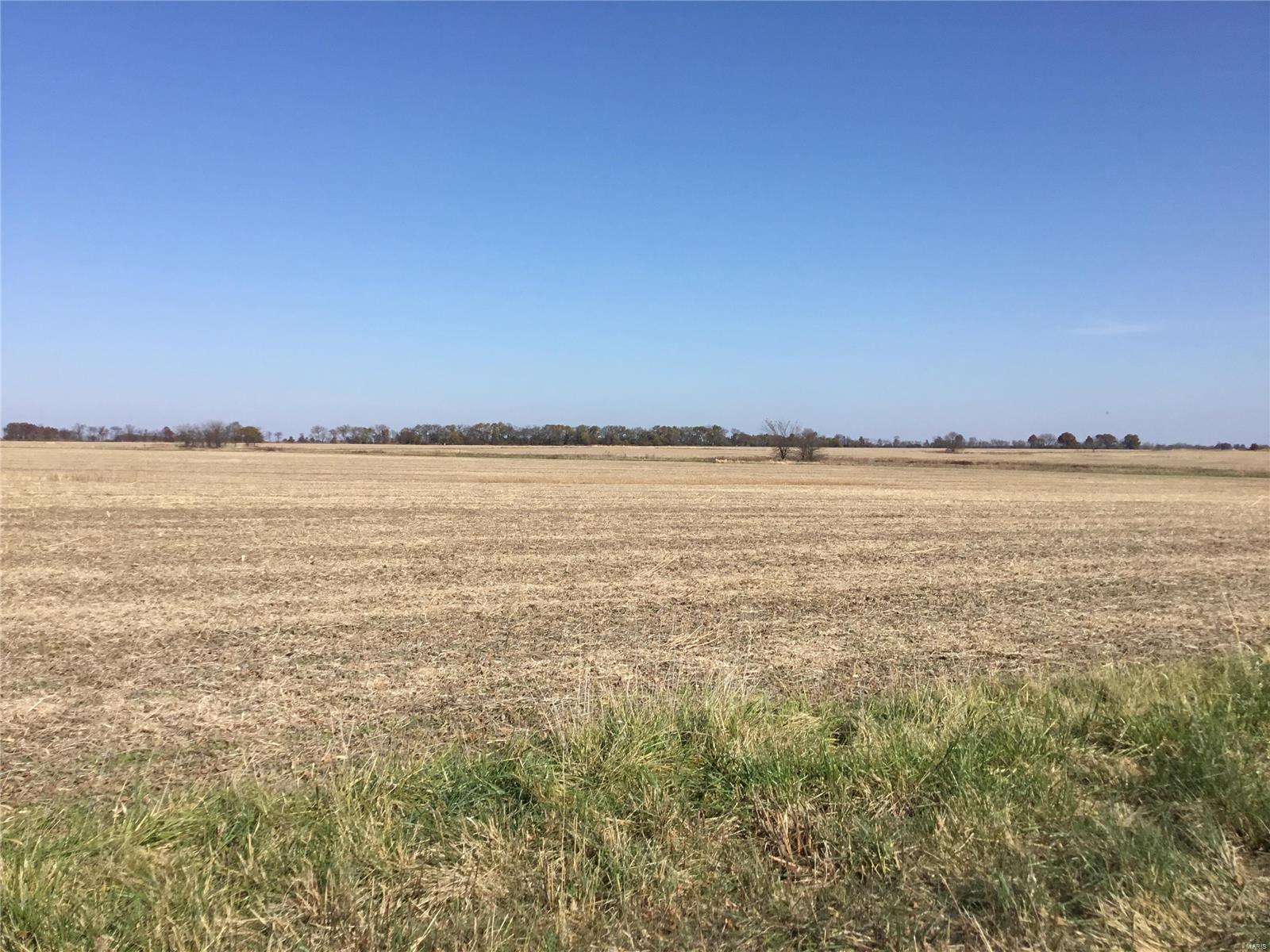 Rural - Farm