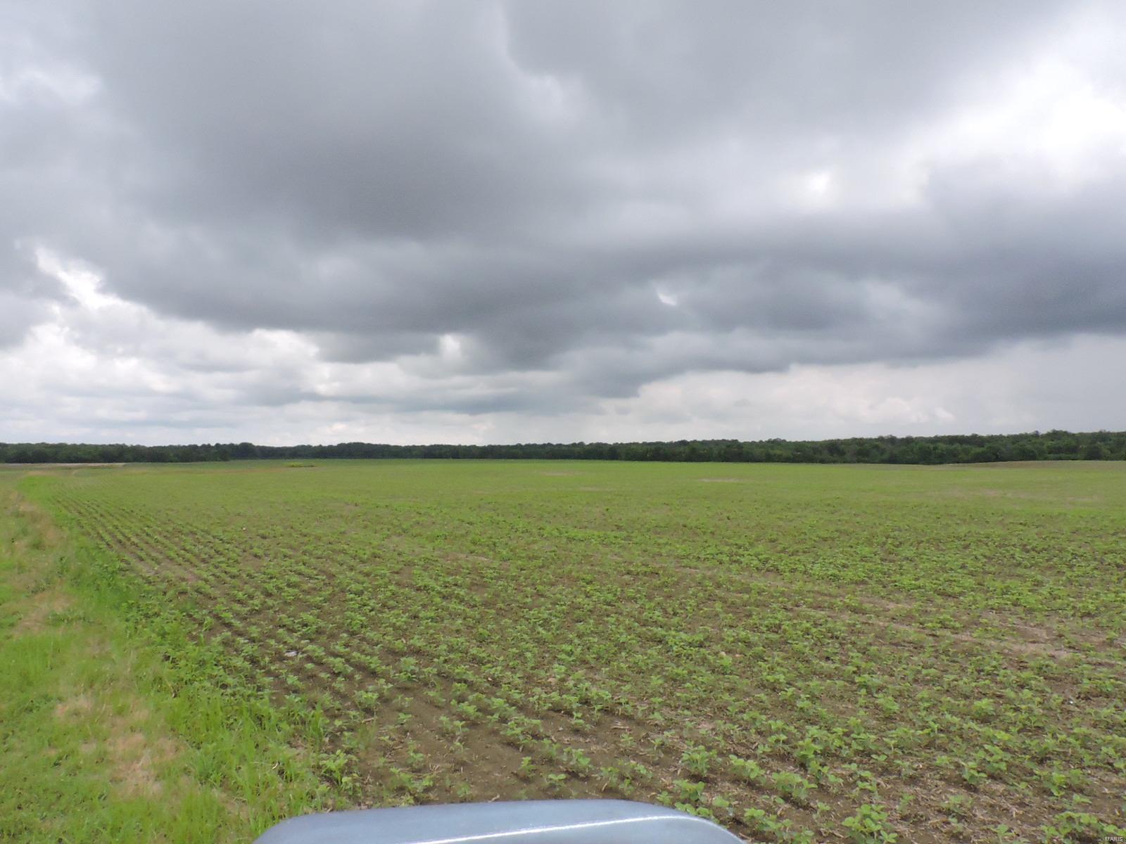 Mostly tillable acreage.  Some of the property is located in the flood Plain.  It would make a great piece of income property.  Property between river & South line may be able to purchase also.