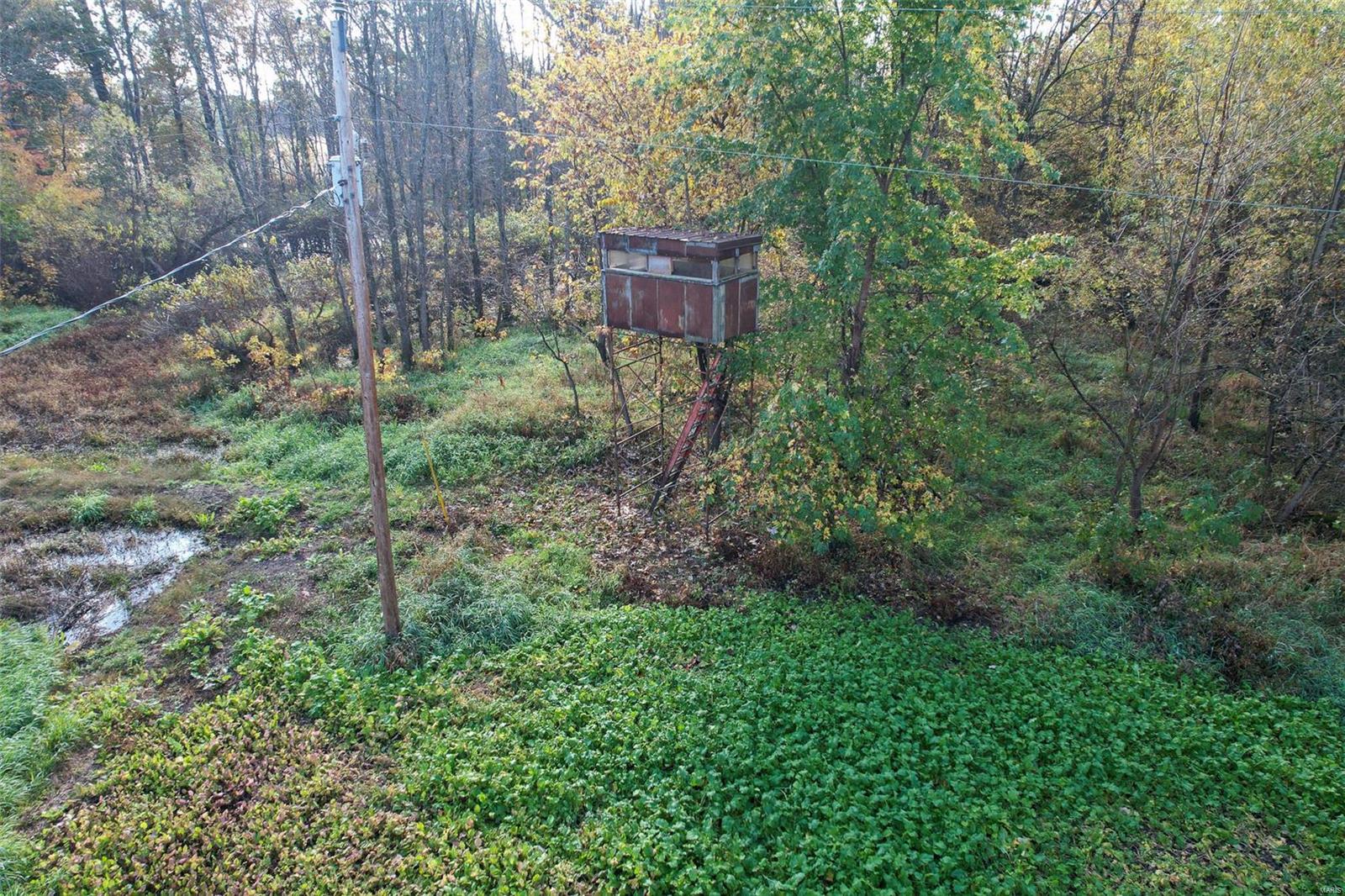 - - Farm