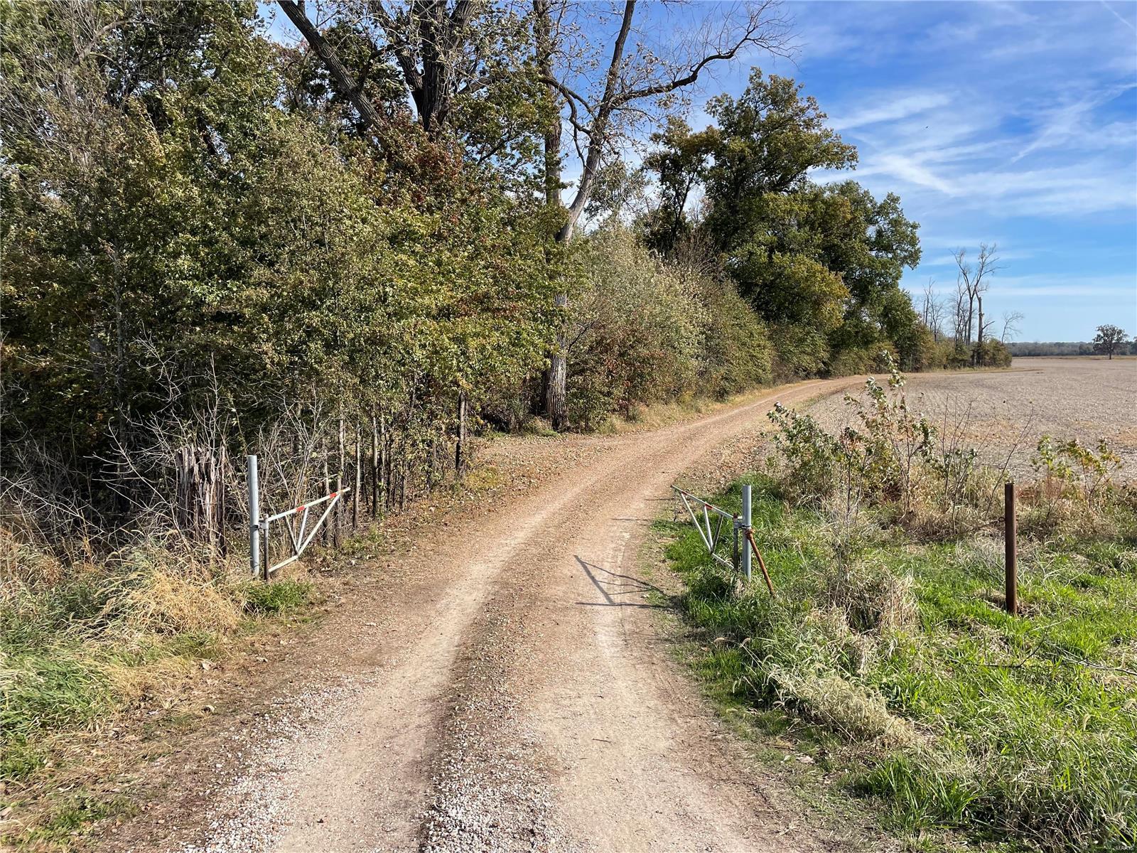 - - Farm