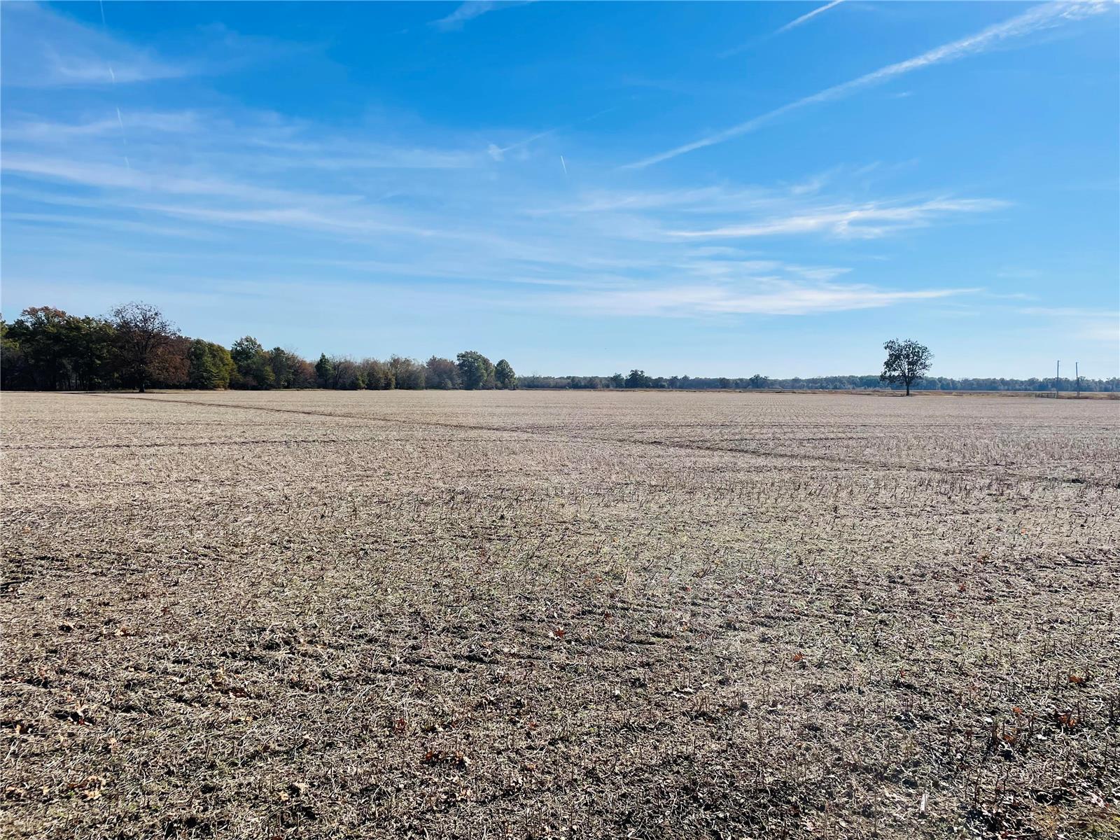 - - Farm