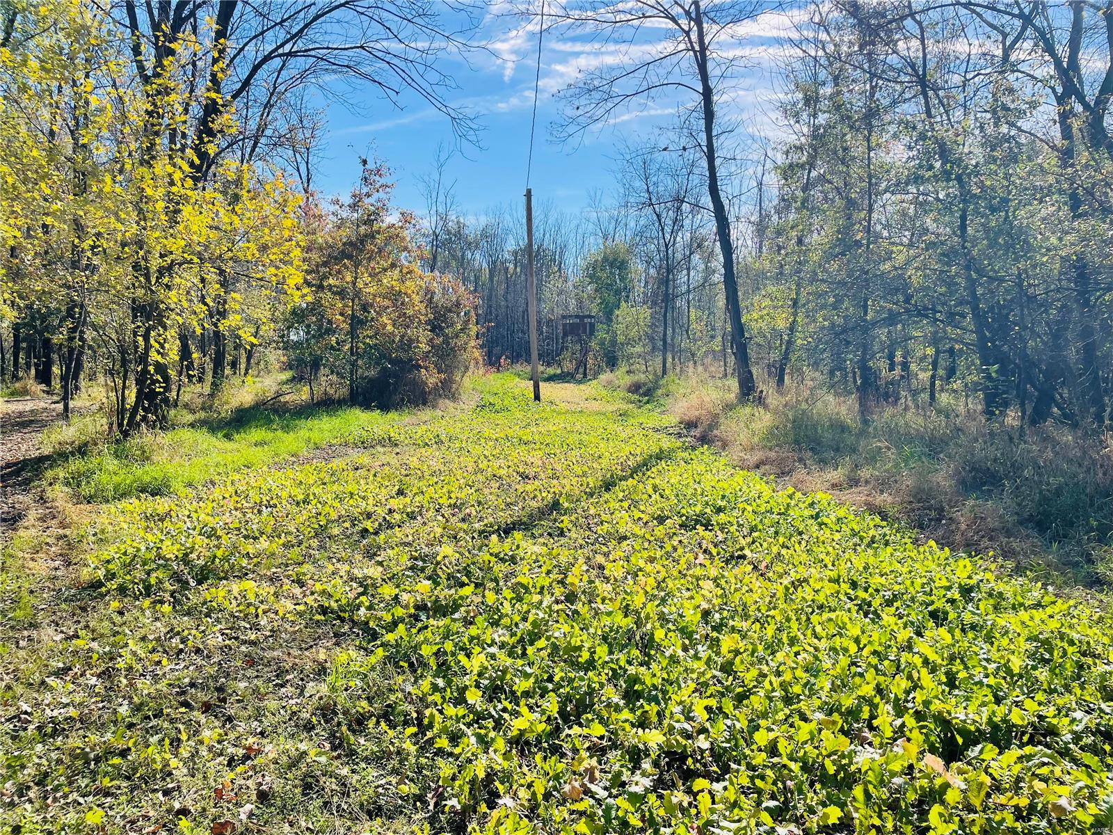 - - Farm