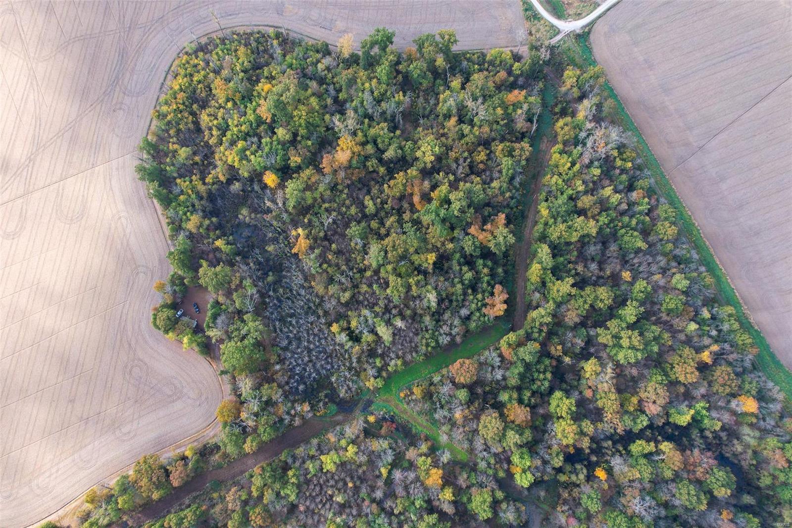 - - Farm