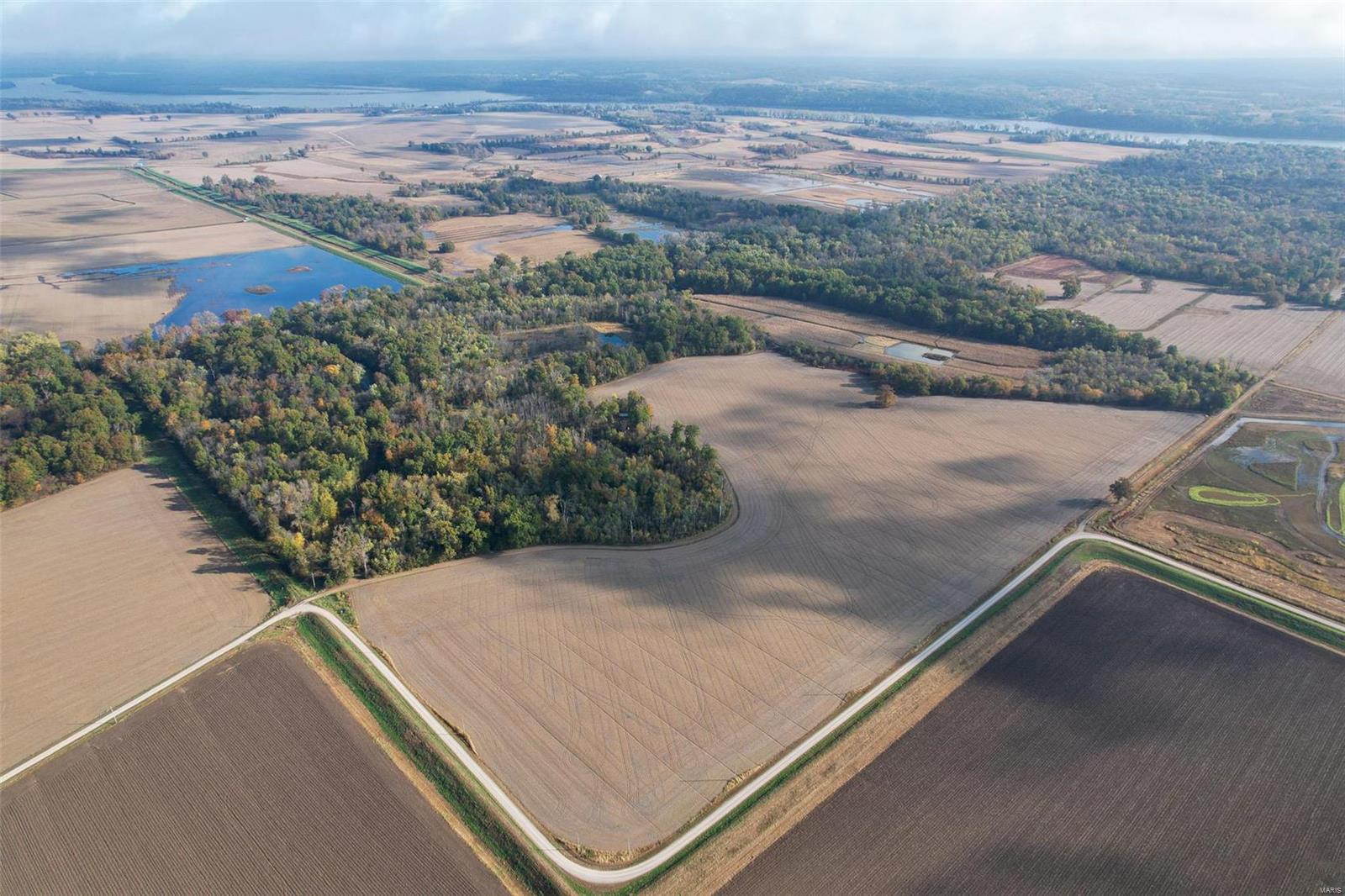- - Farm