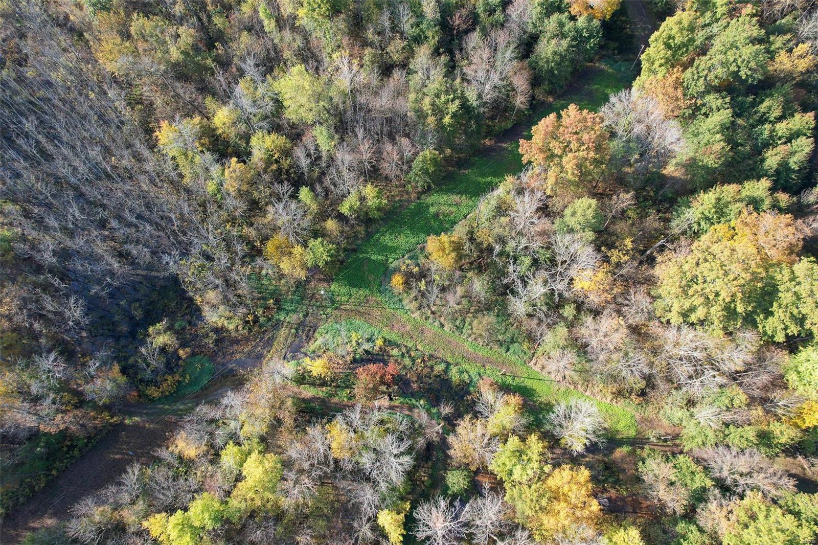 - - Farm