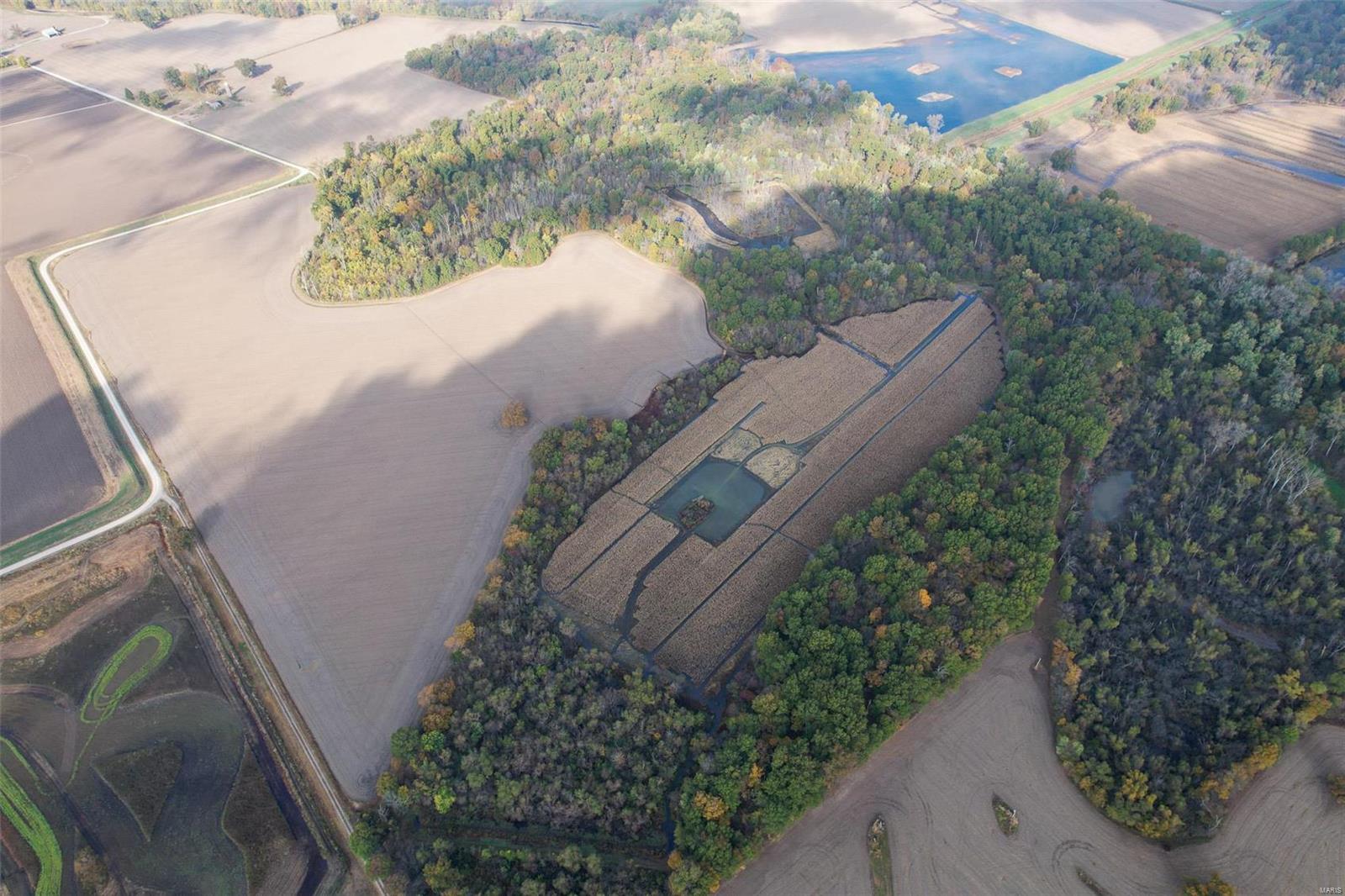- - Farm