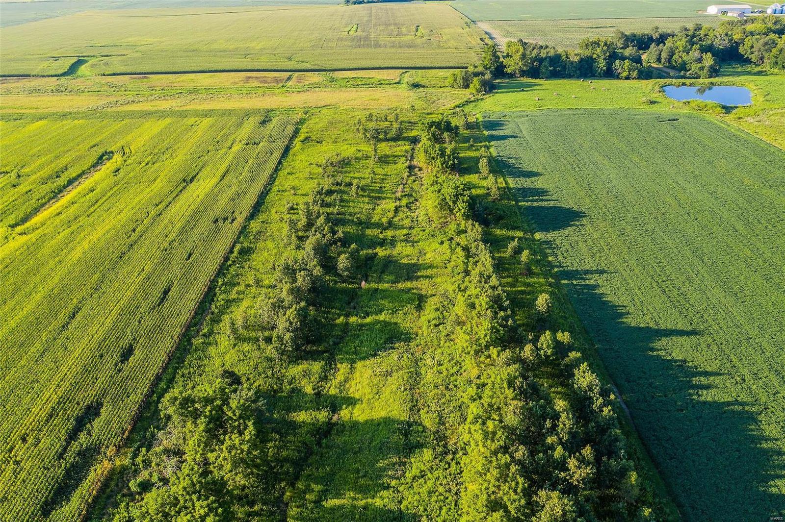 Rural Montgomery County - Farm