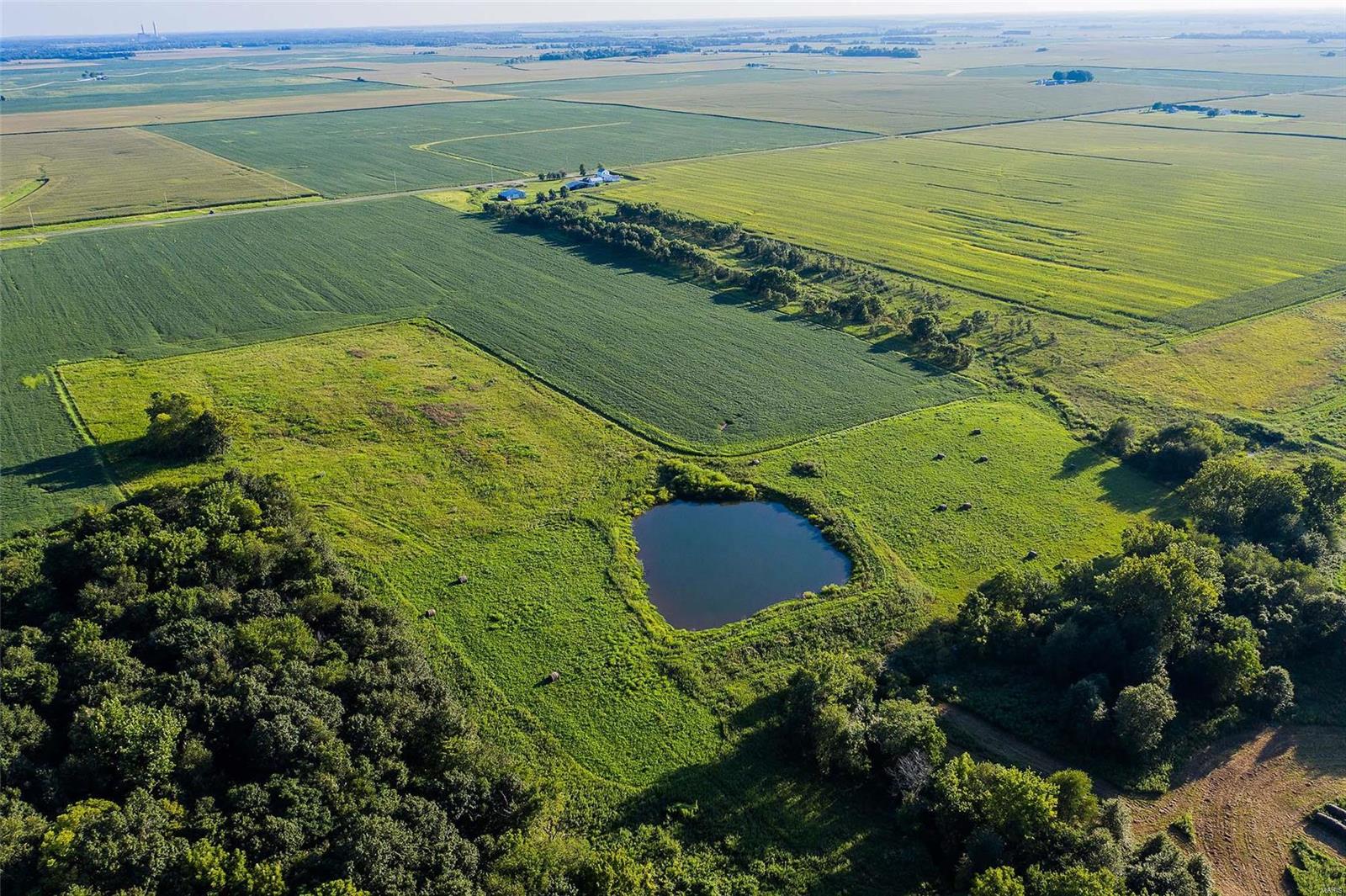 Rural Montgomery County - Farm