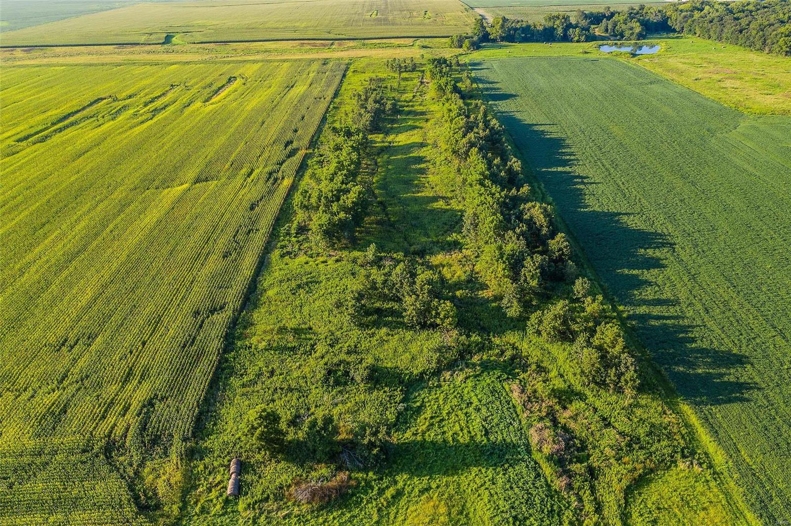 Rural Montgomery County - Farm