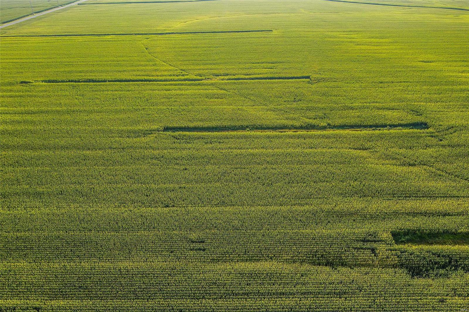 Rural Montgomery County - Farm
