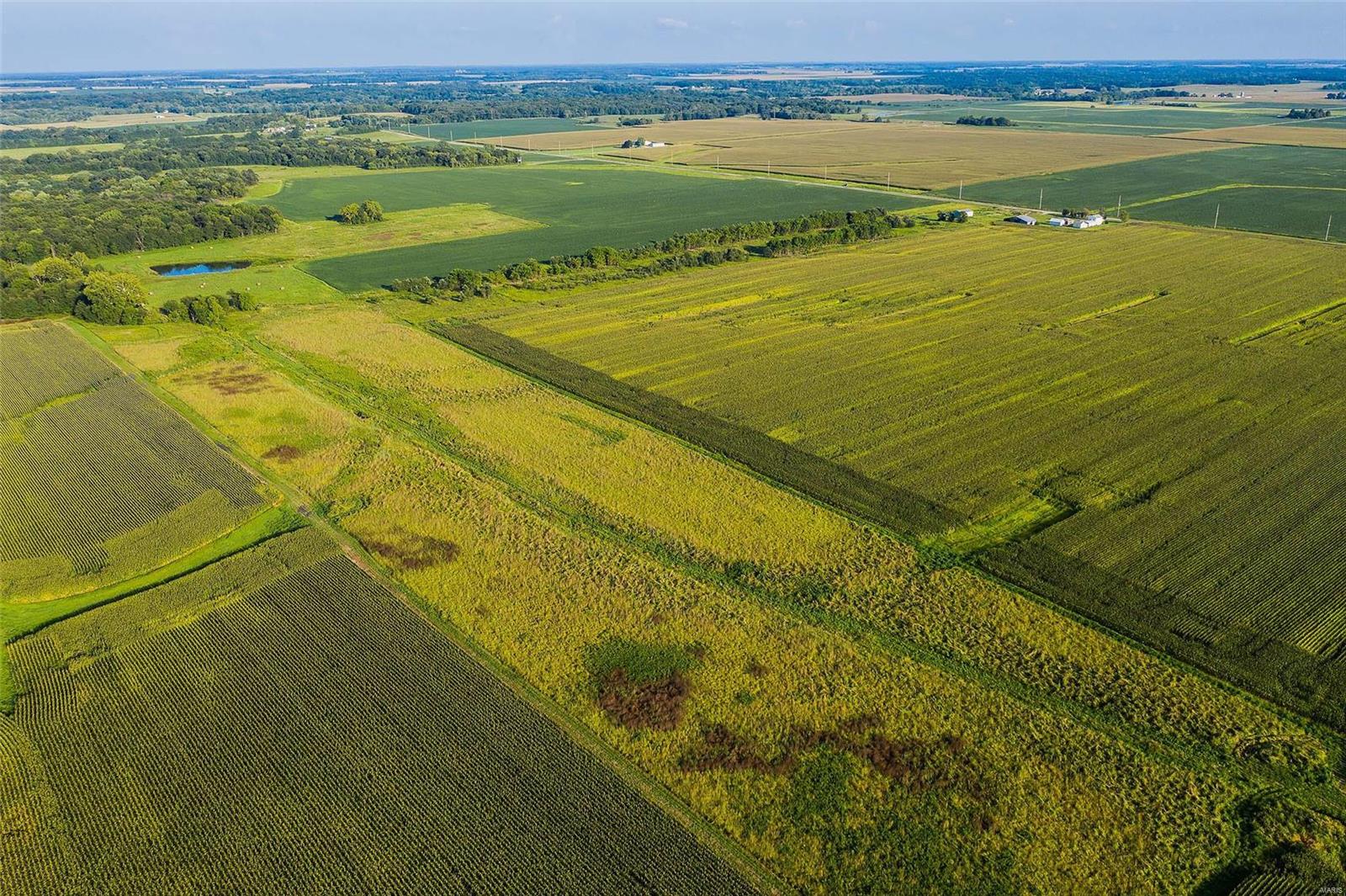 Rural Montgomery County - Farm