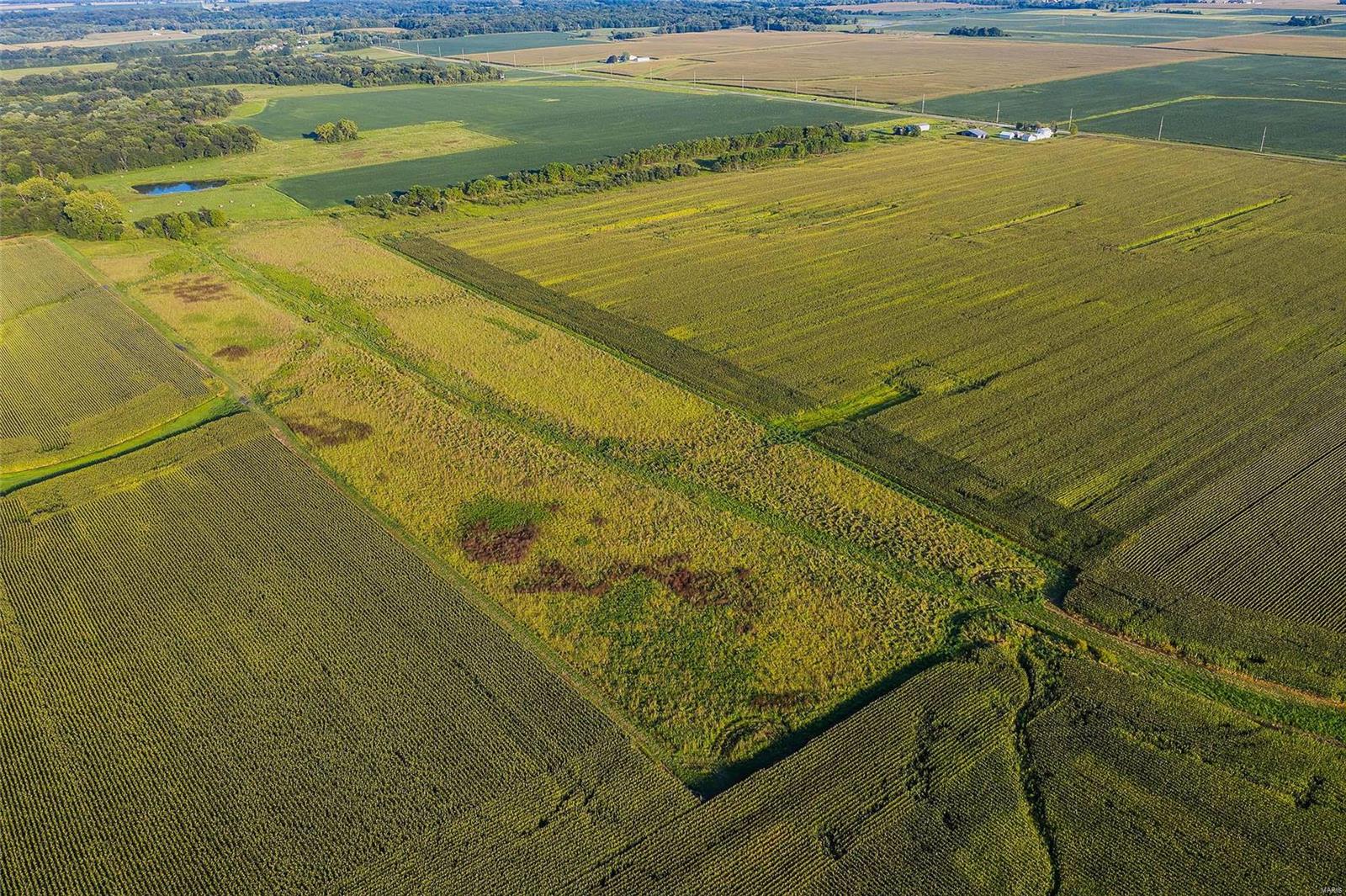 Rural Montgomery County - Farm