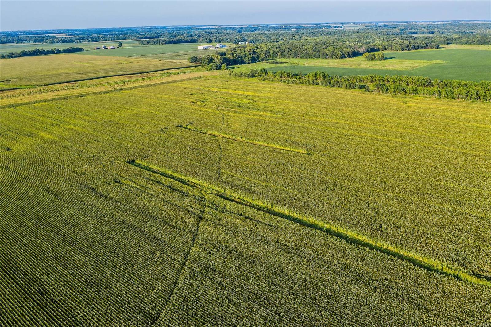 Rural Montgomery County - Farm