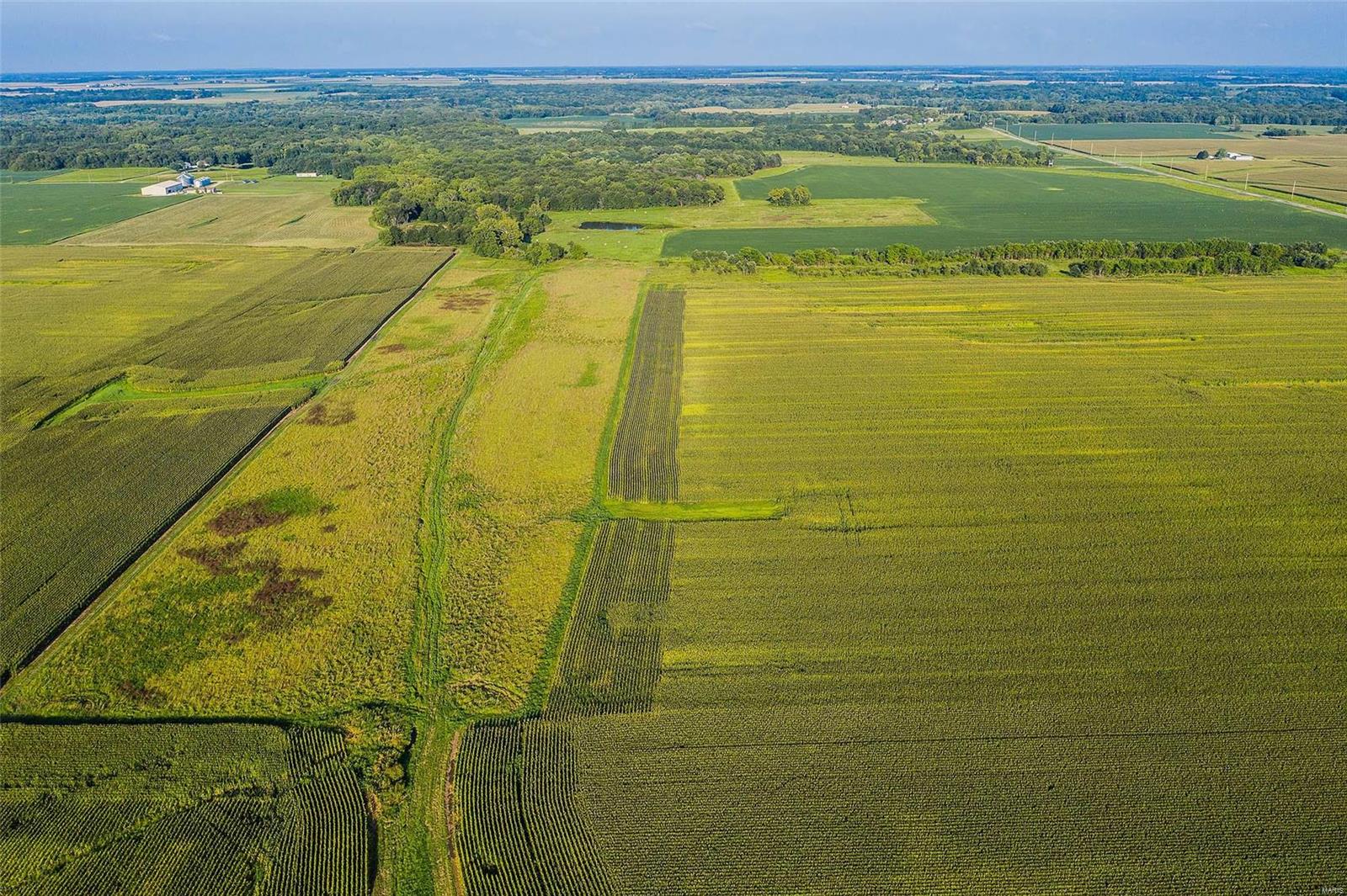 Rural Montgomery County - Farm