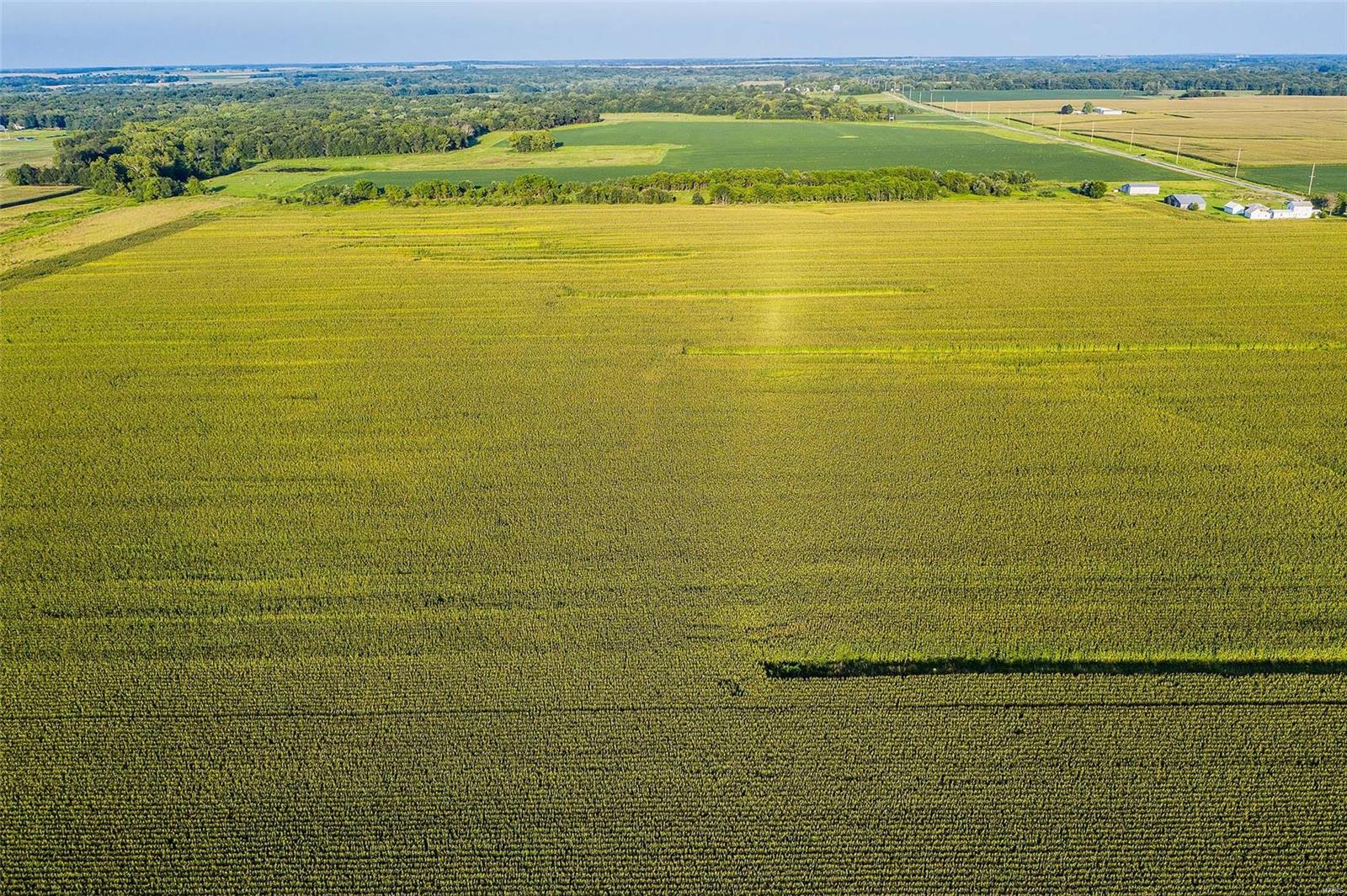 Rural Montgomery County - Farm