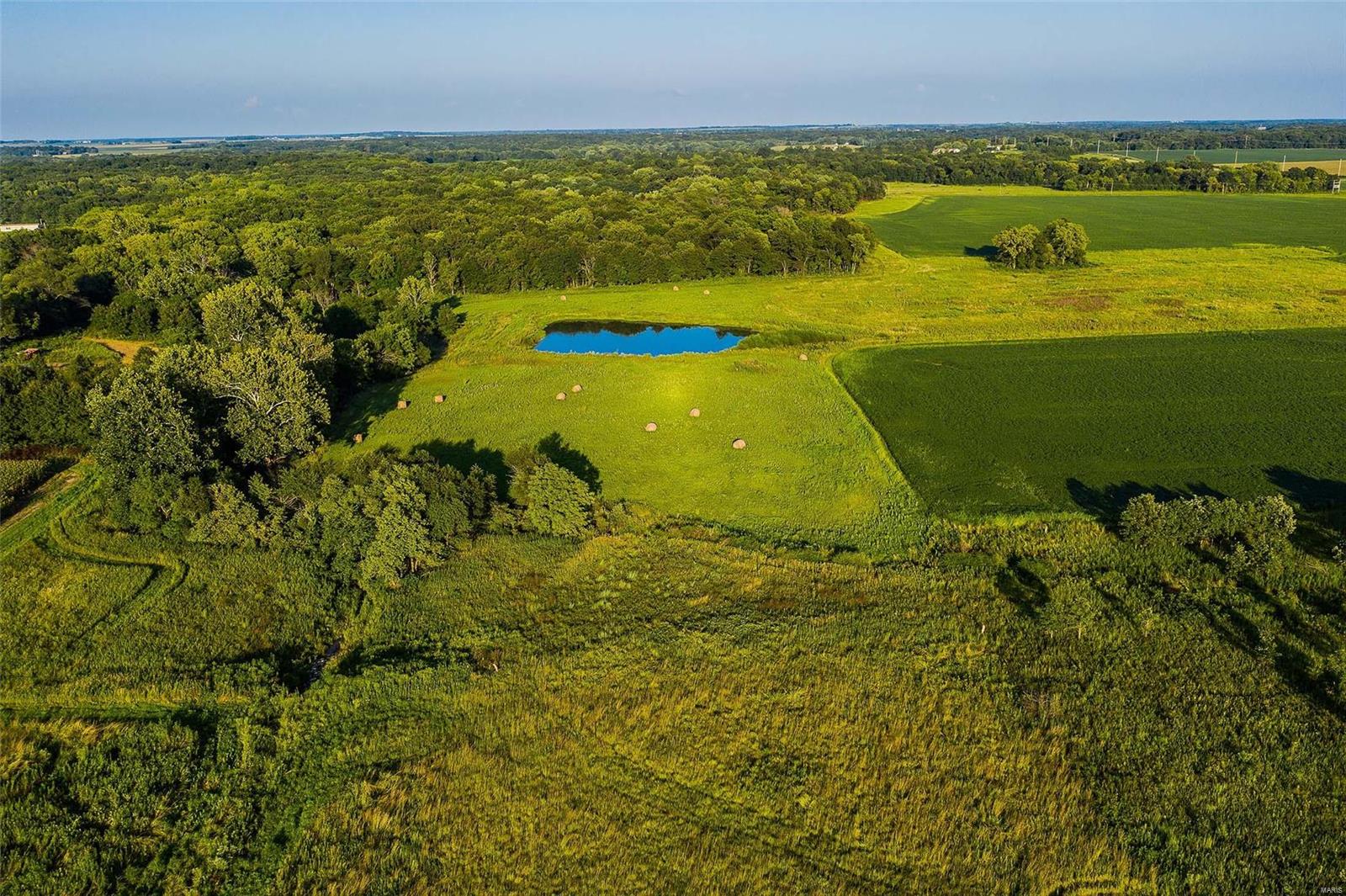 Rural Montgomery County - Farm