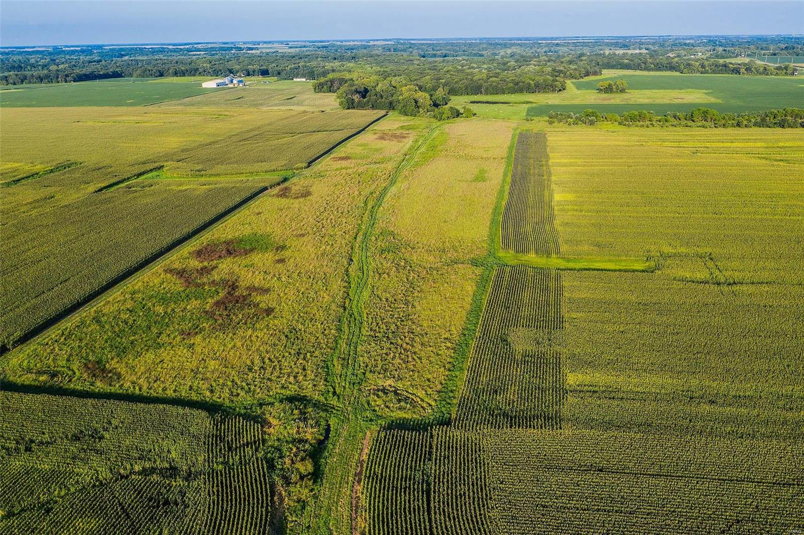 Rural Montgomery County - Farm